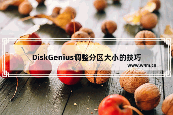 DiskGenius调整分区大小的技巧