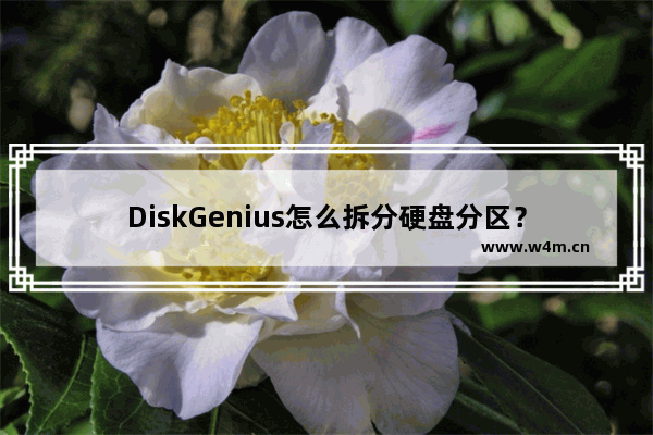 DiskGenius怎么拆分硬盘分区？