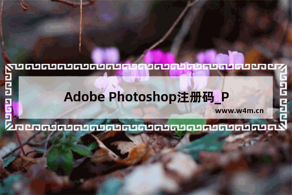 Adobe Photoshop注册码_Photoshop2022激活码