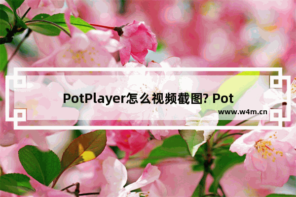 PotPlayer怎么视频截图? PotPlayer视频截图的技巧