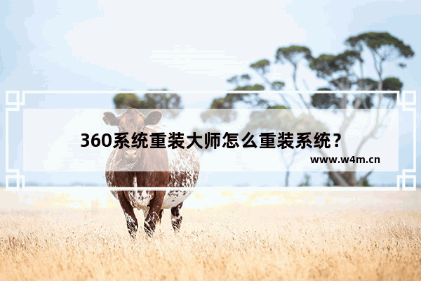 360系统重装大师怎么重装系统？