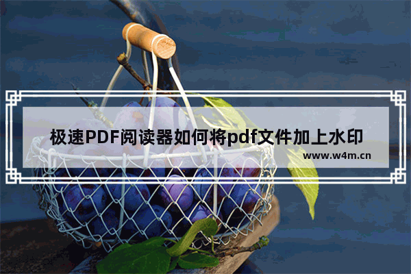 极速PDF阅读器如何将pdf文件加上水印？