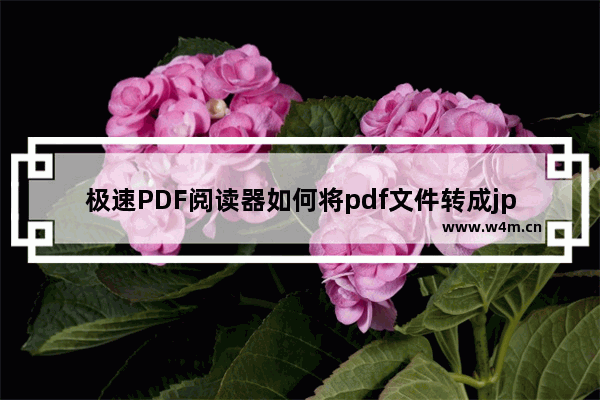 极速PDF阅读器如何将pdf文件转成jpg格式？