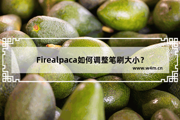 Firealpaca如何调整笔刷大小？