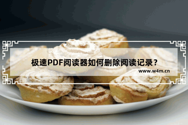 极速PDF阅读器如何删除阅读记录？