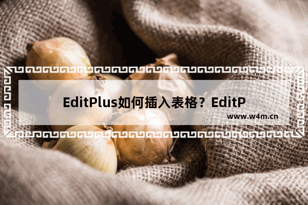 EditPlus如何插入表格？EditPlus插入表格的技巧