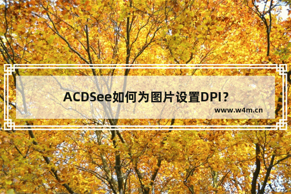 ACDSee如何为图片设置DPI？