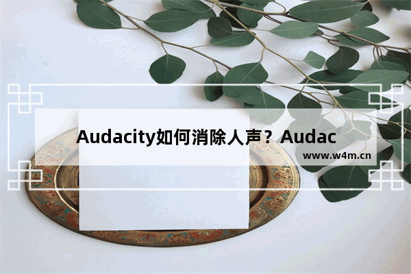 Audacity如何消除人声？Audacity消除人声的技巧