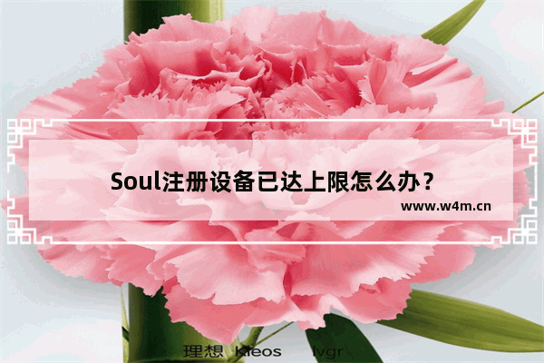 Soul注册设备已达上限怎么办？