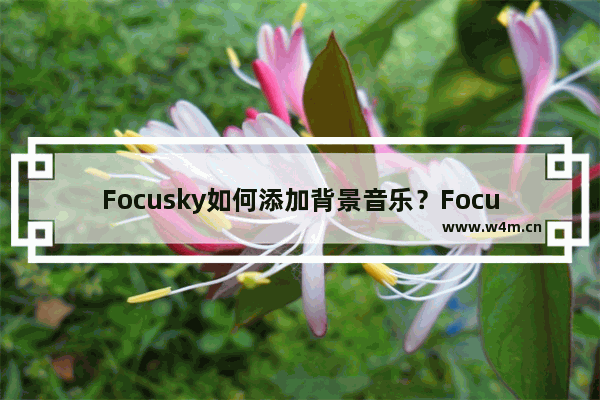 Focusky如何添加背景音乐？Focusky添加背景音乐的技巧