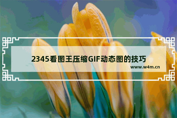 2345看图王压缩GIF动态图的技巧