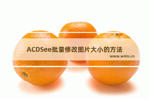 ACDSee批量修改图片大小的方法