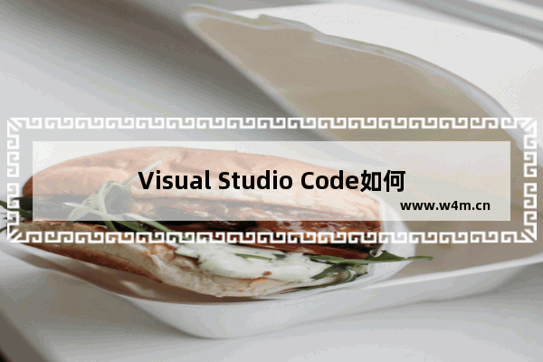 Visual Studio Code如何添加Maude条目？