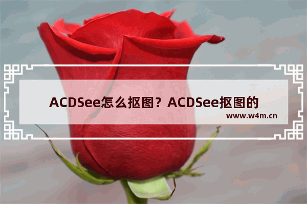 ACDSee怎么抠图？ACDSee抠图的方法