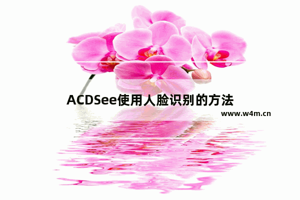 ACDSee使用人脸识别的方法