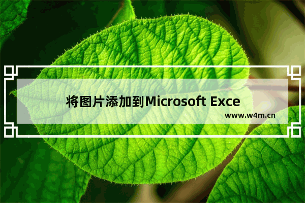 将图片添加到Microsoft Excel 工作表单元格中的技巧