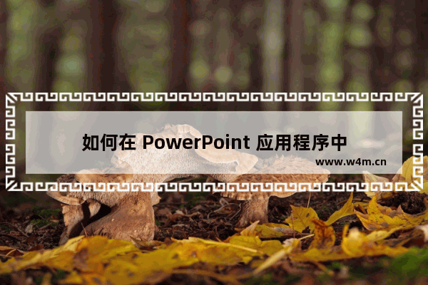 如何在 PowerPoint 应用程序中模糊图像的一部分