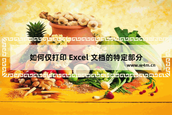 如何仅打印 Excel 文档的特定部分