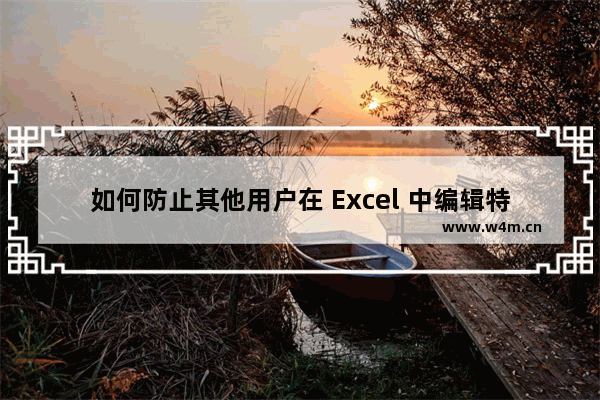 如何防止其他用户在 Excel 中编辑特定单元格