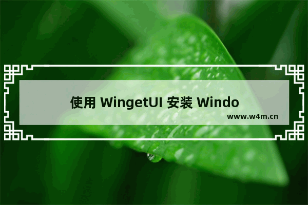 使用 WingetUI 安装 Windows 软件和更新