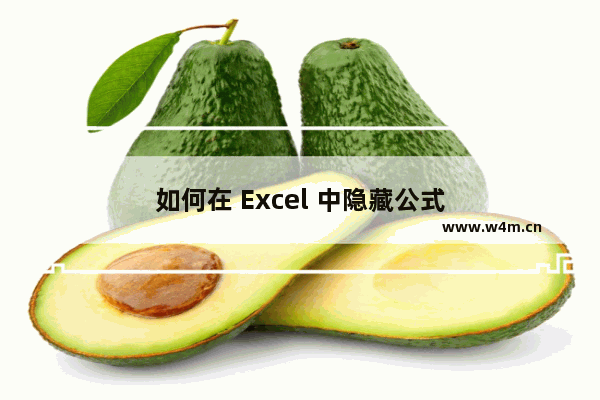 如何在 Excel 中隐藏公式