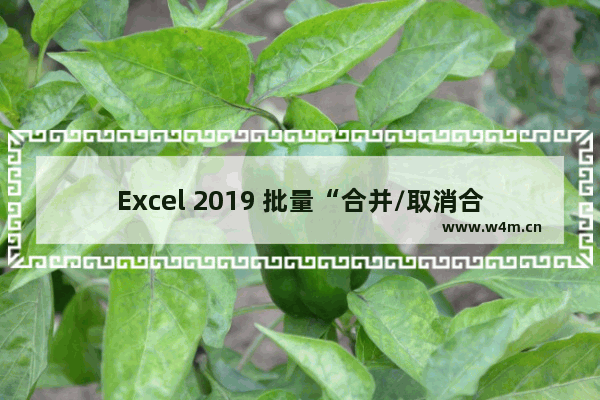 Excel 2019 批量“合并/取消合并”单元格的技巧