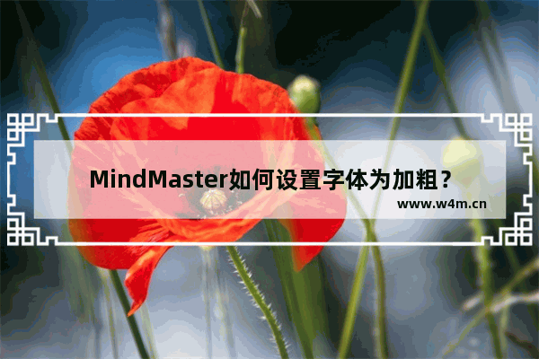 MindMaster如何设置字体为加粗？