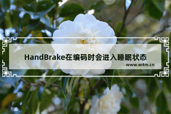 HandBrake在编码时会进入睡眠状态怎么办？