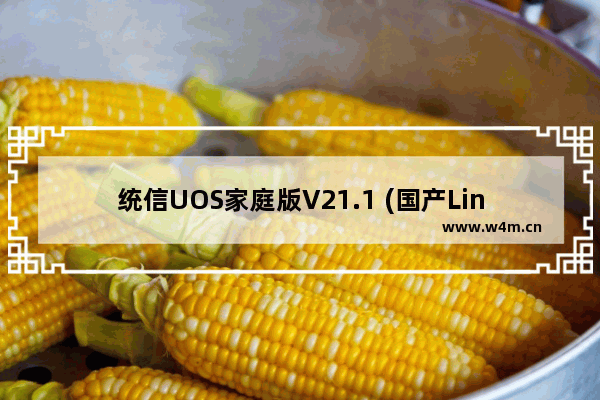 统信UOS家庭版V21.1 (国产Linux系统)_免费正版授权