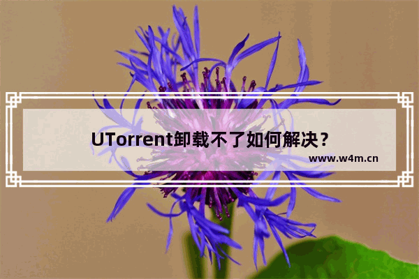 UTorrent卸载不了如何解决？