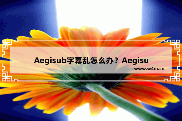 Aegisub字幕乱怎么办？Aegisub字幕乱码的解决方法