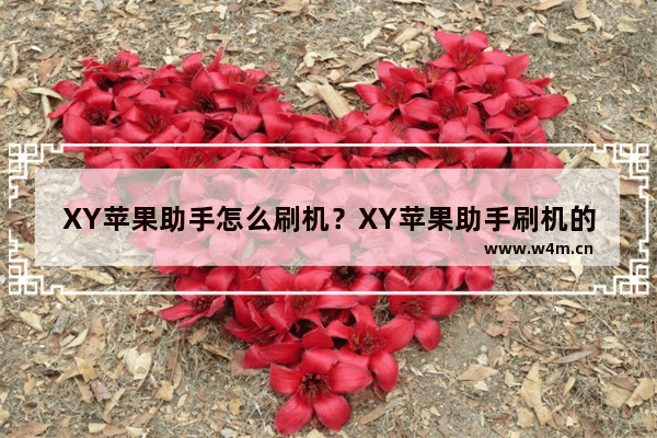 XY苹果助手怎么刷机？XY苹果助手刷机的方法