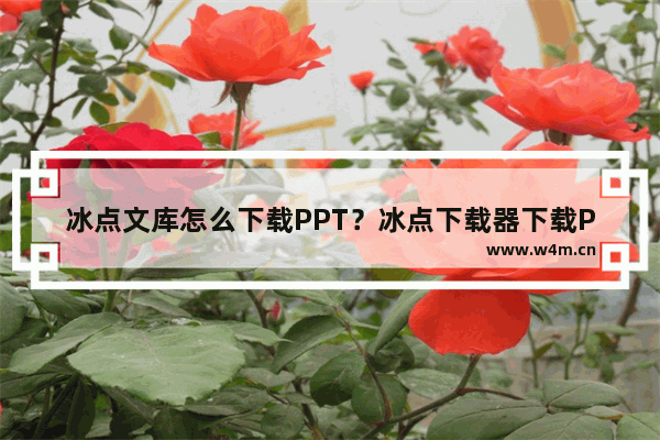 冰点文库怎么下载PPT？冰点下载器下载PPT的方法