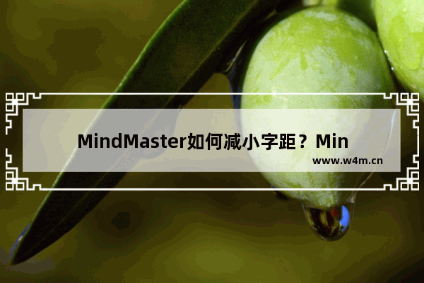 MindMaster如何减小字距？MindMaster减小字距的技巧