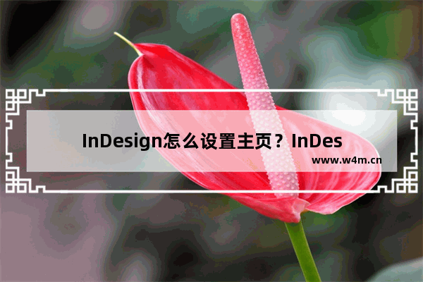 InDesign怎么设置主页？InDesign设置主页的方法