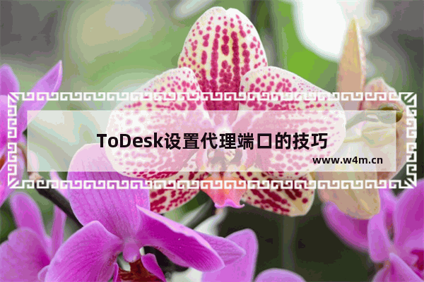 ToDesk设置代理端口的技巧