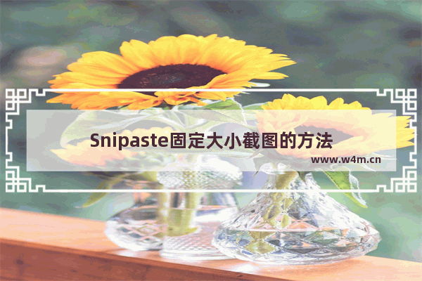 Snipaste固定大小截图的方法