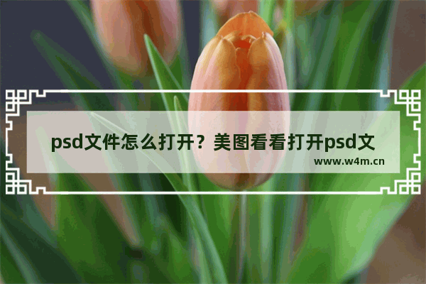 psd文件怎么打开？美图看看打开psd文件的方法