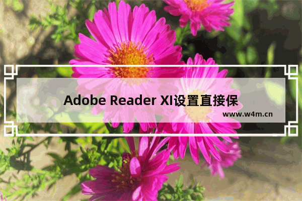 Adobe Reader XI设置直接保存的方法