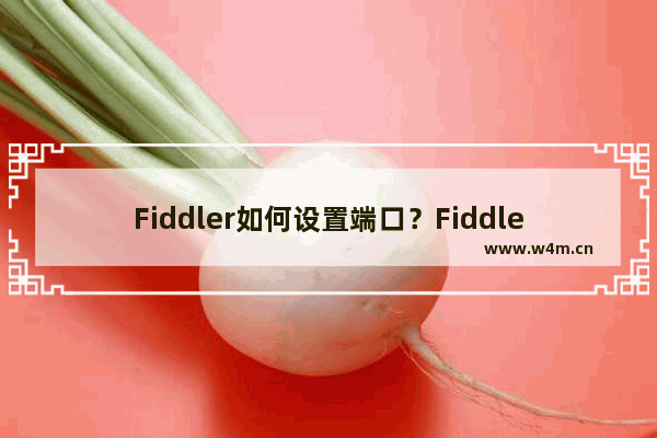 Fiddler如何设置端口？Fiddler设置端口的技巧