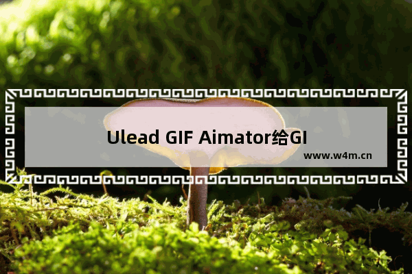 Ulead GIF Aimator给GIF图片添加水印的方法