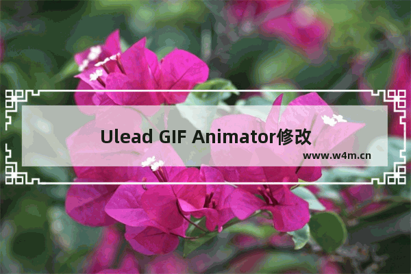 Ulead GIF Animator修改GIF动画的方法