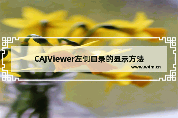 CAJViewer左侧目录的显示方法