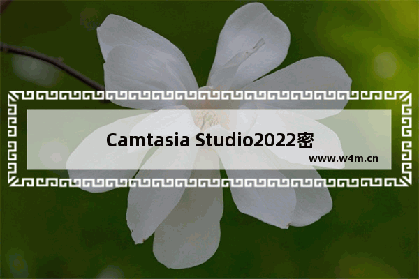 Camtasia Studio2022密钥_Camtasia Studio 2022激活教程