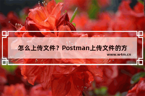 怎么上传文件？Postman上传文件的方法