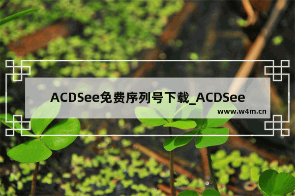 ACDSee免费序列号下载_ACDSee正版激活