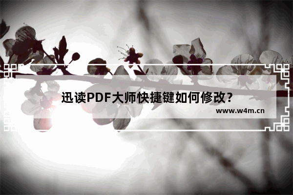 迅读PDF大师快捷键如何修改？