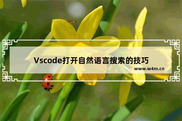 Vscode打开自然语言搜索的技巧