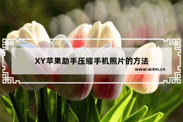 XY苹果助手压缩手机照片的方法