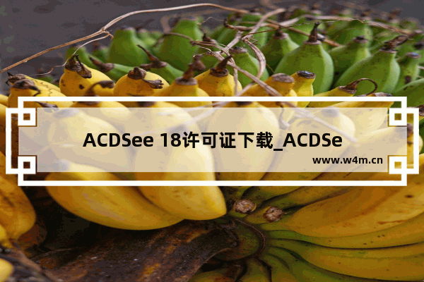 ACDSee 18许可证下载_ACDSee 18最新密钥分享